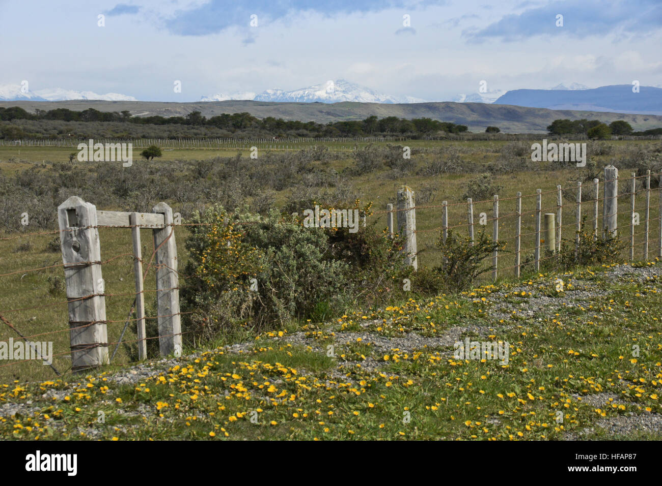 Landschaft entlang der Ruta Aonikenk nach Rio Verde, nördlich von Punta Arenas, Patagonien, Chile Stockfoto