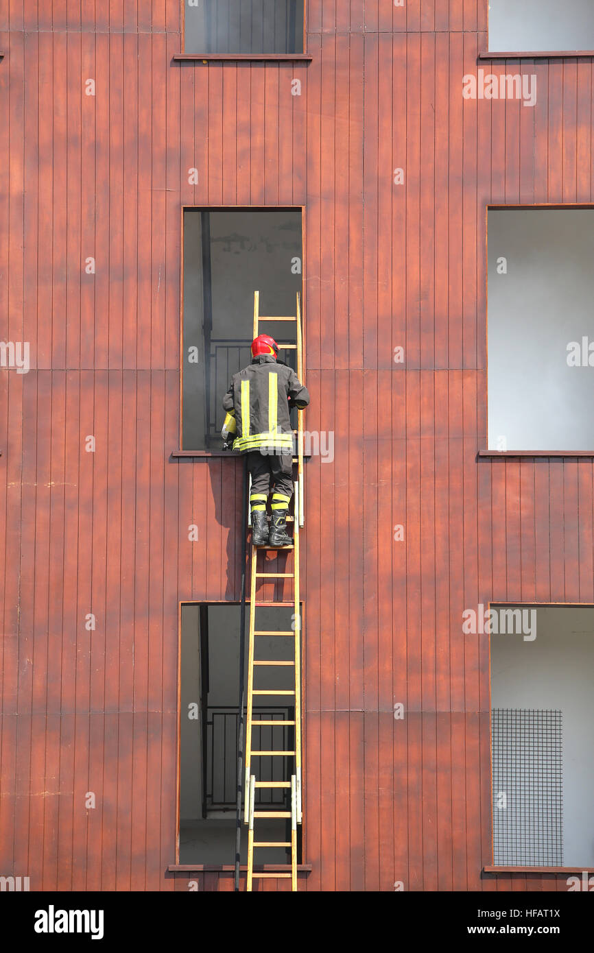 Feuerwehrmann klettert die Leiter hinauf, während einer Übung Stockfoto