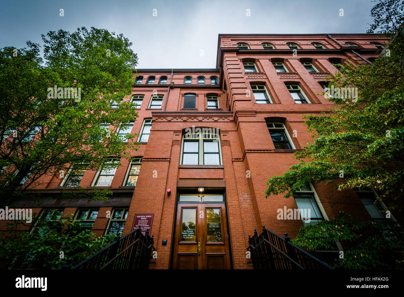 Das Museum für vergleichende Zoologie der Harvard University in Cambridge, Massachusetts. Stockfoto