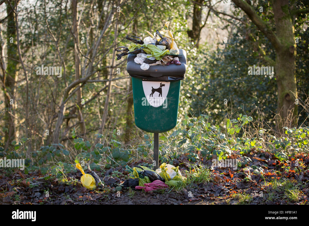 Ein stark fließenden Hundeabfallbehälter in Malvern, Großbritannien Stockfoto