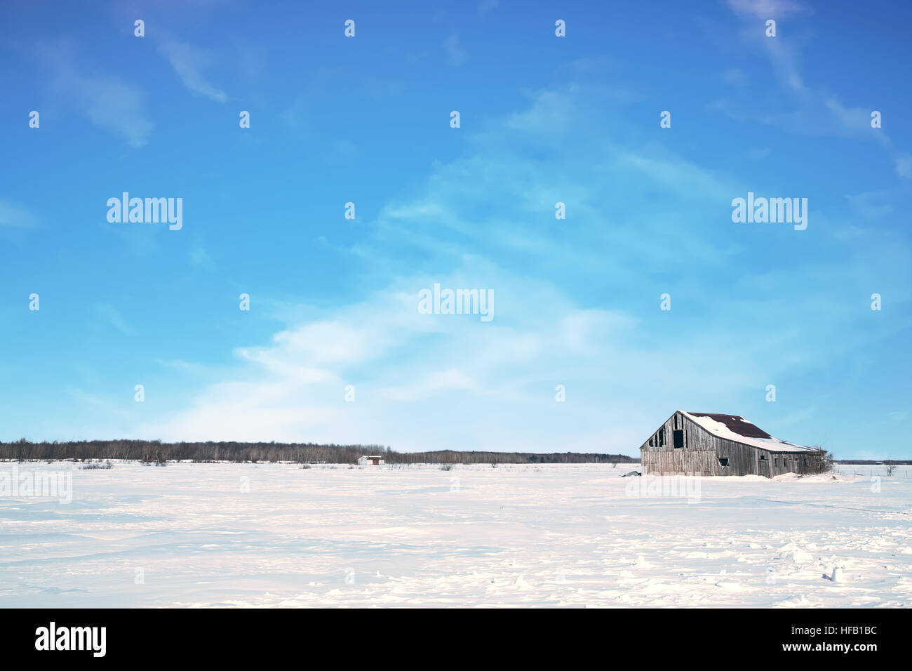 Alte verlassene hölzerne Scheune in Quebec Provinz von Kanada. Ländliche Schneelandschaft mit Schneeverwehungen und blauer Himmel. Platz für Ihren Text. Stockfoto