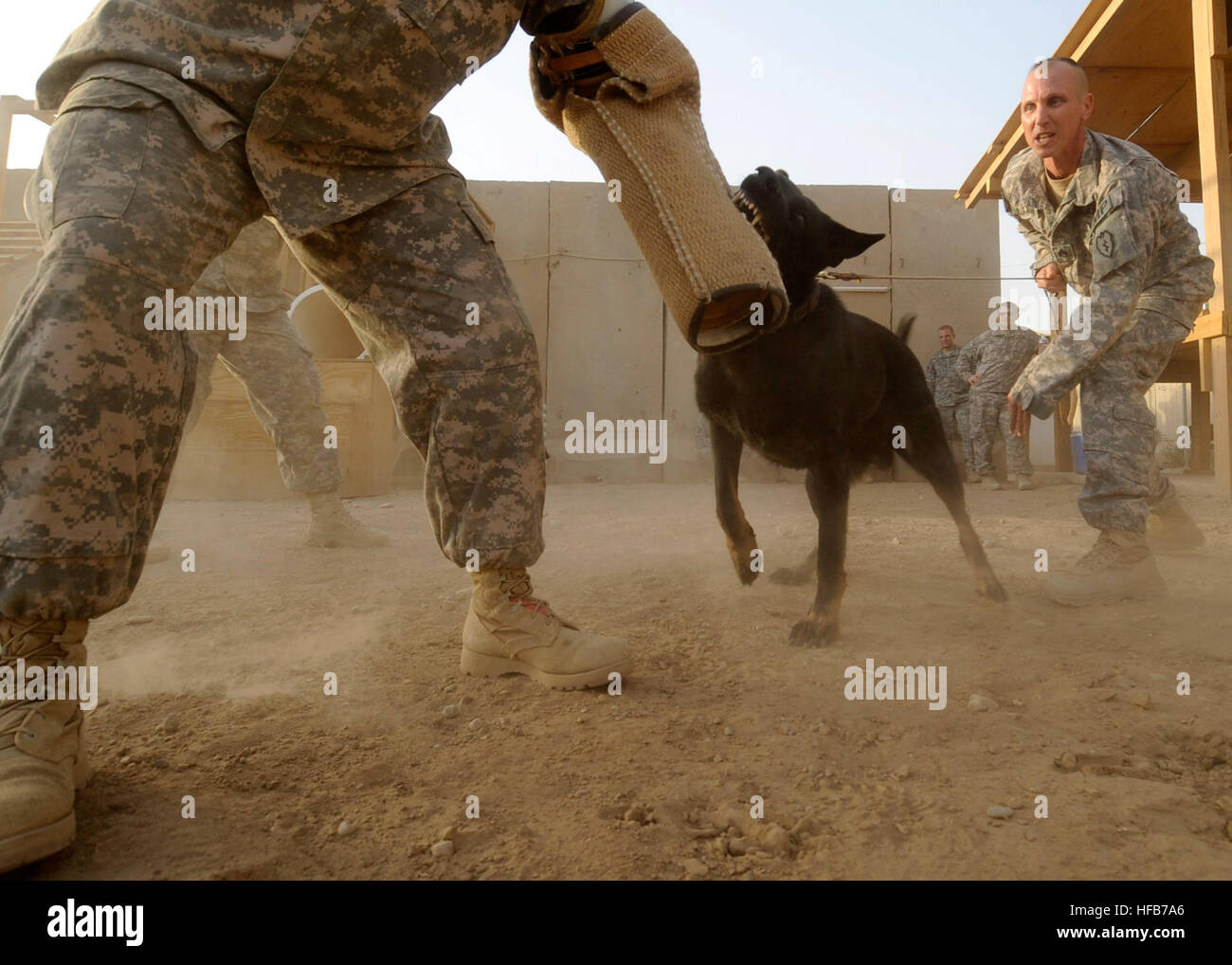 US Army Staff Sgt Robert Lanik, von Forked River, NJ, zugeordnet der 25. Infanterie Division Rettungshundestaffel, Aufträge seiner militärischen Gebrauchshund Axt, während einer K9-Demonstration, bei der MWD-Training Verbindung auf Forward Operating Base Diamondback, in Mosul, Irak, 17. August 2009 anzugreifen. Diamondback Hunde 196672 Stockfoto