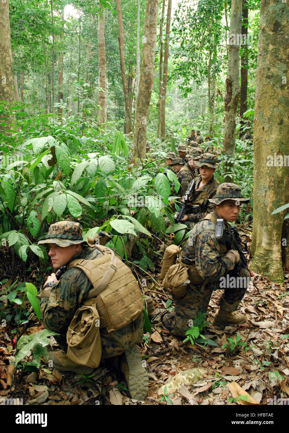 120617-N-HM950-128 BERAUS, Malaysia (17. Juni 2012) US-Marines aus 1. und 2. Zug, Fox Company und malaysische Soldaten aus den 10 Fallschirmjäger-Brigade Hinterhalt zu Übungszwecken während flott Bereitschaft Zusammenarbeit und Ausbildung (CARAT) Malaysia 2012 durchführen. Karat ist eine Reihe von bilateralen militärischen Übungen zwischen der US-Marine und die Streitkräfte von Bangladesch, Brunei, Kambodscha, Indonesien, Malaysia, Philippinen, Singapur und Thailand.  Timor-Leste verbindet Karat zum ersten Mal im Jahr 2012. (Foto: U.S. Navy Chief Masse Kommunikation Spezialist Aaron Glover/freigegeben) - offizielle U.S. Navy Stockfoto