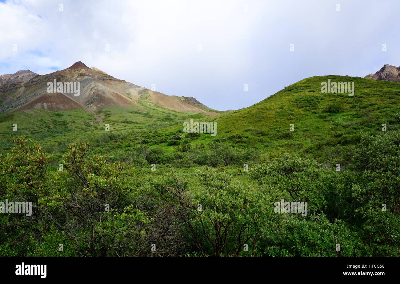 Die malerische Landschaft, die bunten Berge im Denali (mckinley) National Park, Alaska, USA Stockfoto