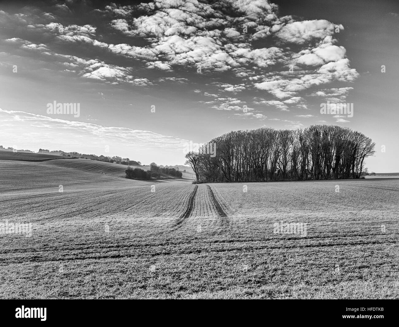 North Downs, Kent, Großbritannien, auf der Bockhill Farm mit Blick nach Süden in Richtung St Margarets und South Foreland Valley Stockfoto