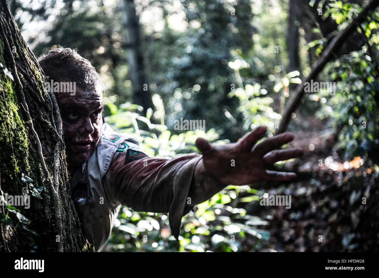 Menschen gekleidet und zusammengesetzt als Zombies in den Wäldern in einem "The Walking Dead Erfahrung" Live Action Rolle spielen (LARP)-Activity-Ereignisses an einem November-Nachmittag in Wäldern in der Nähe von Aberystwyth Wales UK Stockfoto