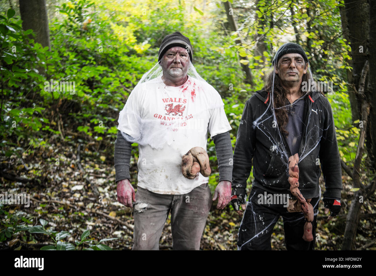 Menschen gekleidet und zusammengesetzt als Zombies in den Wäldern in einem "The Walking Dead Erfahrung" Live Action Rolle spielen (LARP)-Activity-Ereignisses an einem November-Nachmittag in Wäldern in der Nähe von Aberystwyth Wales UK Stockfoto