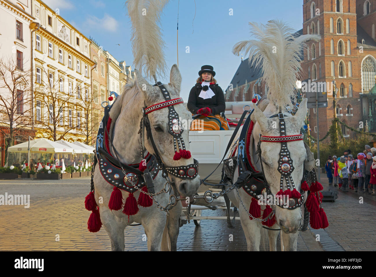 Pferdekutsche-Trainer und Fahrer Market Square Krakau Polen Stockfoto