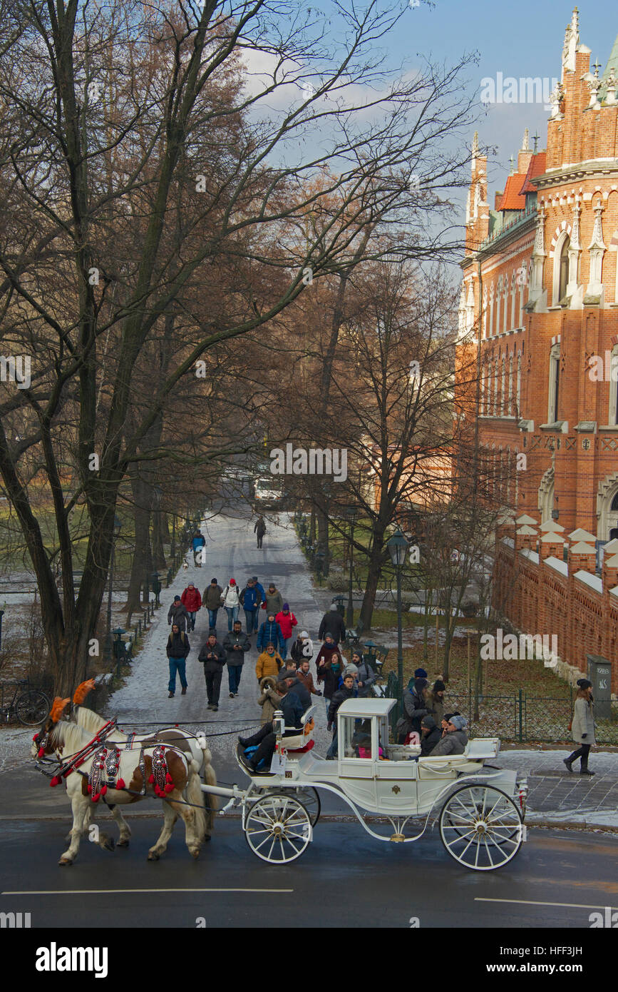 Pferdekutsche im Straßenverkehr Krakau Polen Stockfoto