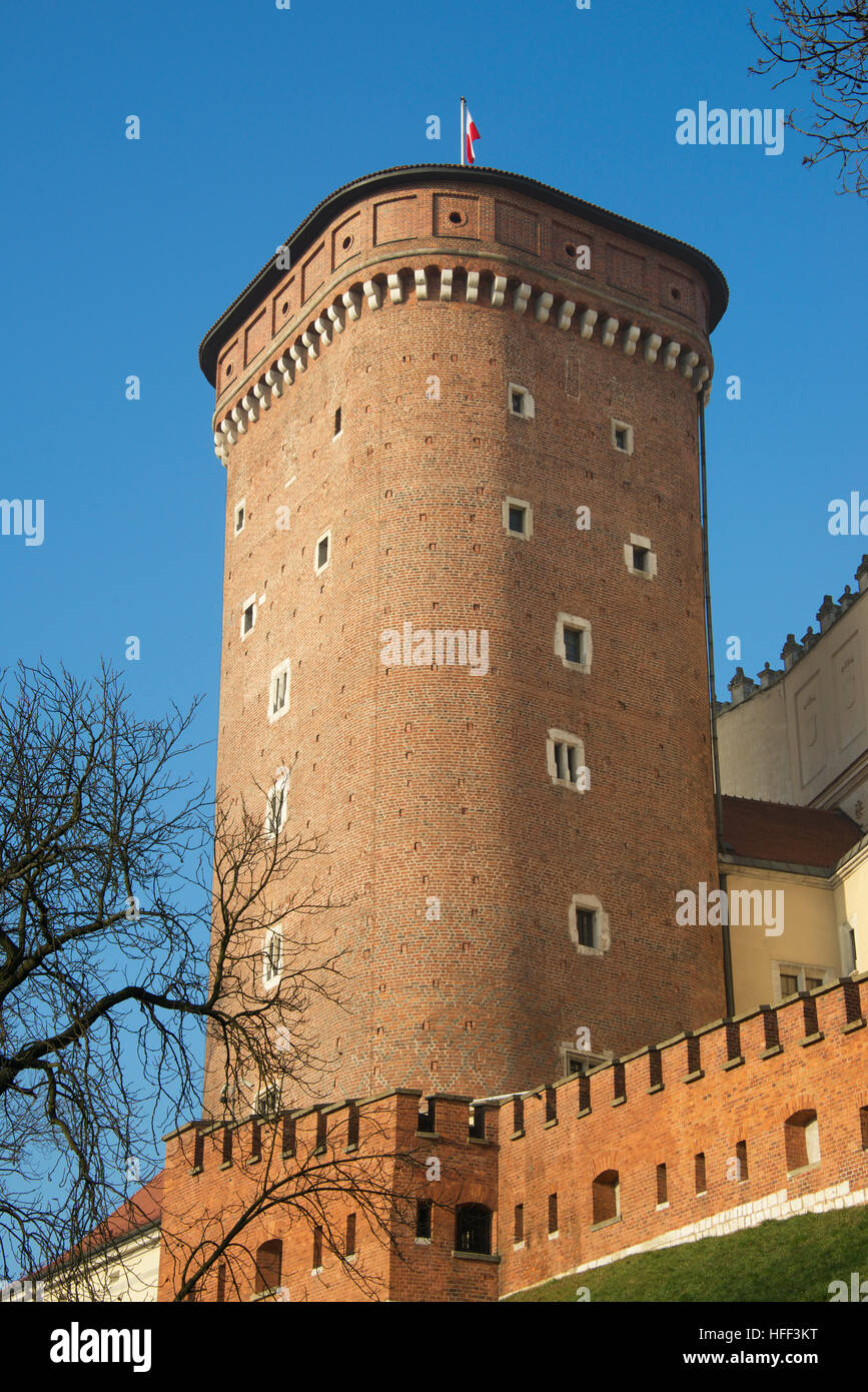 Senatorska Turm Royal Schlossberg Wawel Krakau Polen Stockfoto