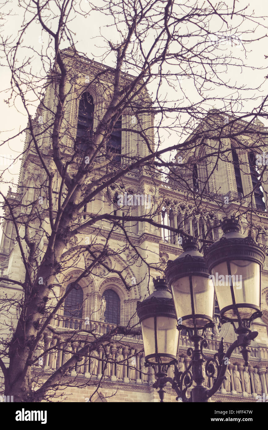 Notre Dame de Paris in Frankreich, Fassade mit Laternenmasten Stockfoto