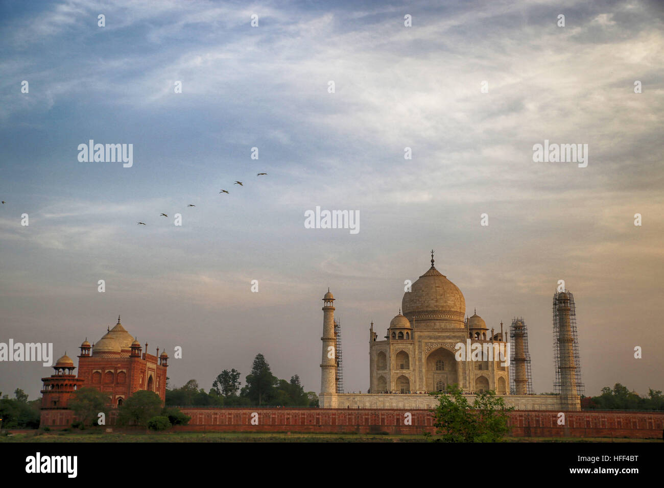 Taj Mahal - 25.04.2016 - Indien / Uttar Pradesh / Agra - Bilder von Taj Mahal bei Sonnenaufgang und Sonnenuntergang - Sandrine Huet / Le Pictorium Stockfoto