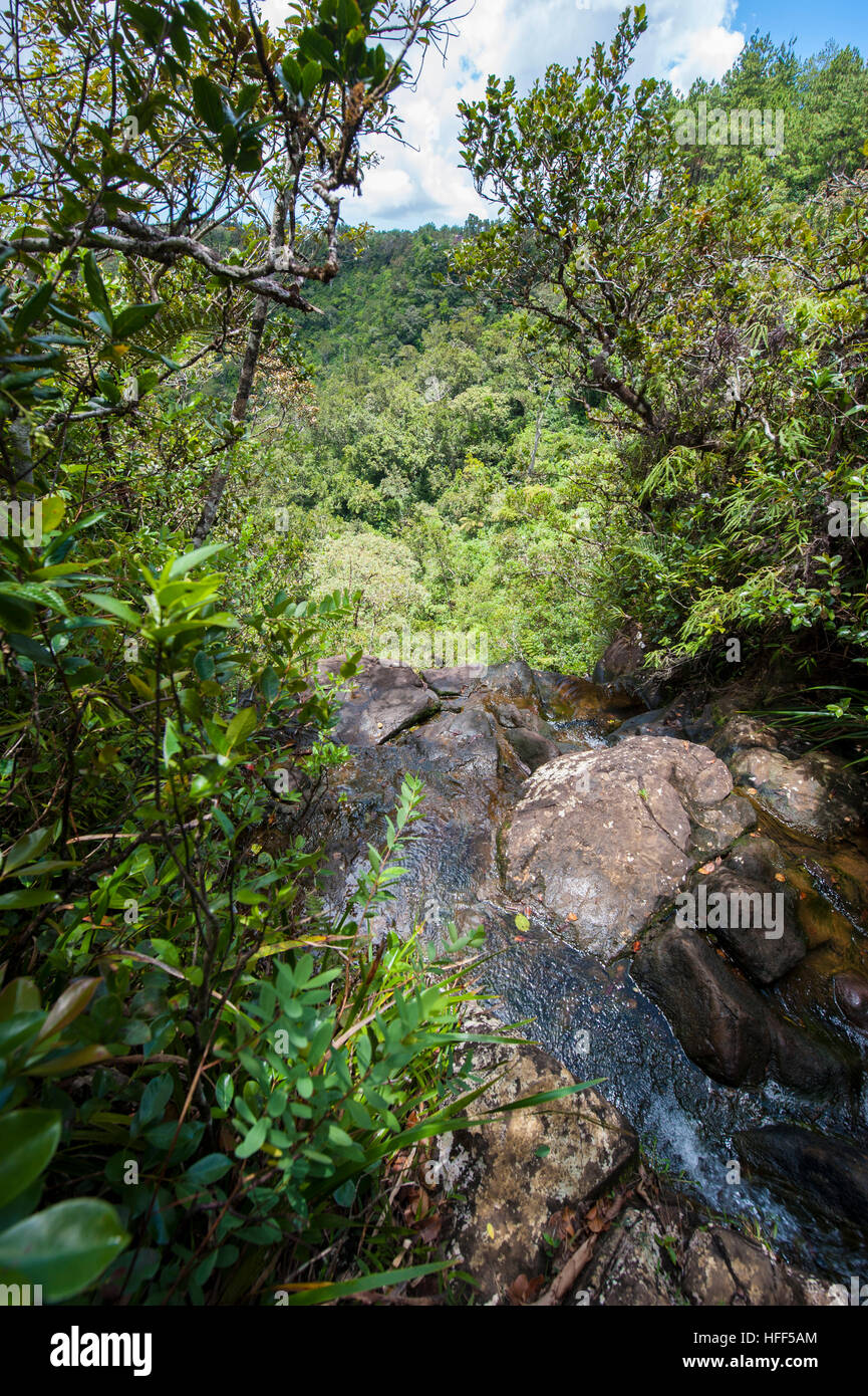 Alexandra fällt, ein Teil des Black River Gorges, Mauritius. Stockfoto