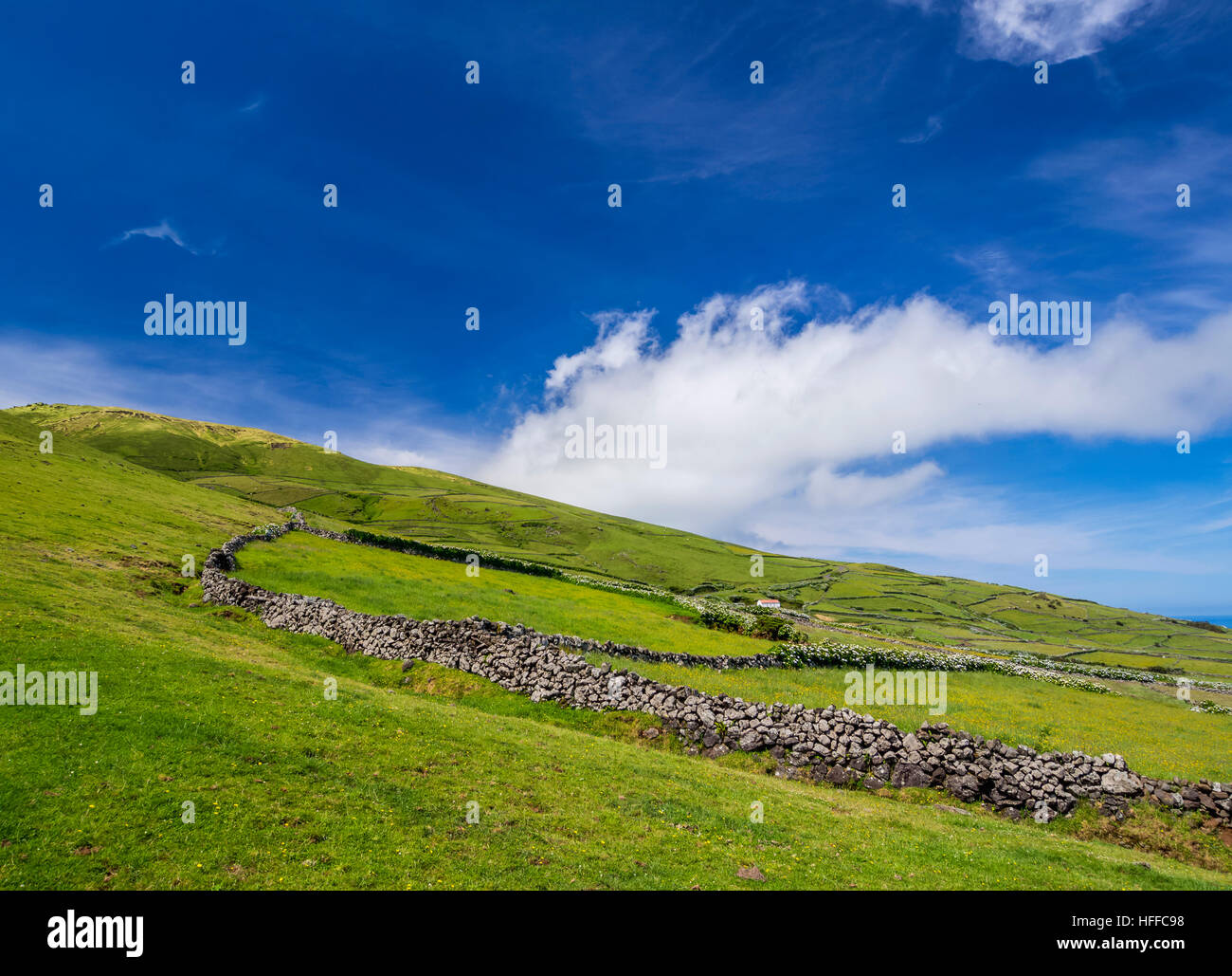 Portugal, Azoren, Corvo, grüne Felder auf der Insel. Stockfoto