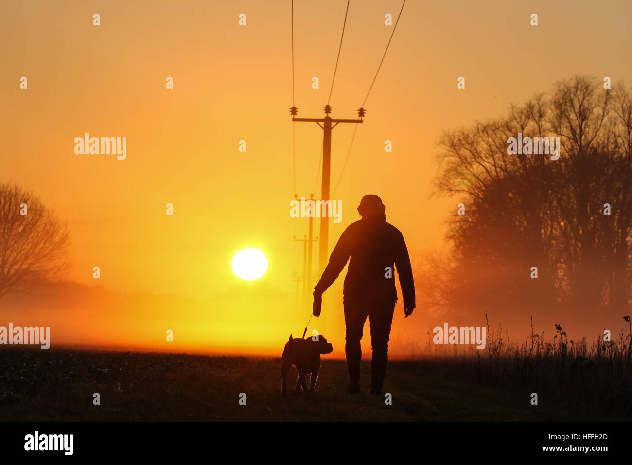 Hübsche junge Frau geht ihr Hund auf dem Land und in den Sonnenuntergang Stockfoto