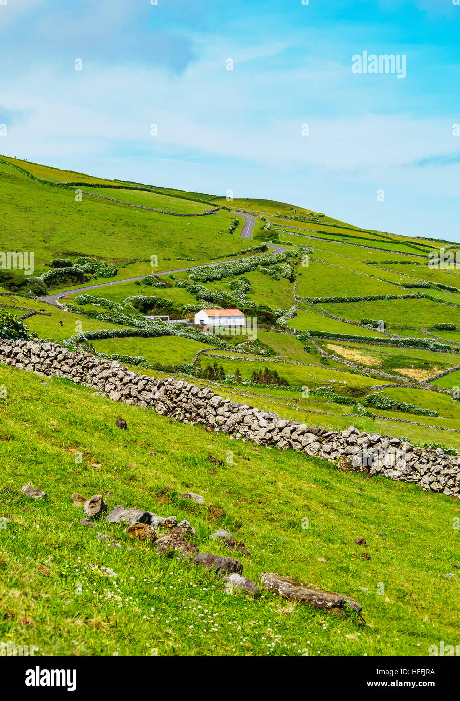 Portugal, Azoren, Corvo, grüne Felder auf der Insel. Stockfoto