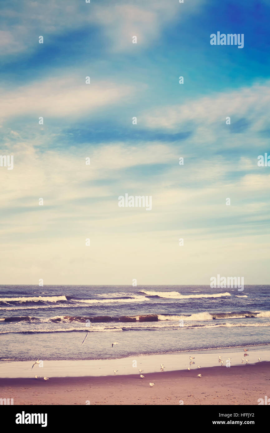 Farbe getönt friedlichen Meer Landschaft mit Möwen. Stockfoto