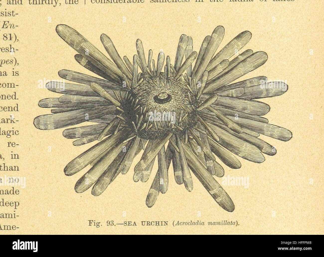 Bild von Seite 133 "[unsere Erde und ihre Geschichte: eine populäre Abhandlung über physische Geographie. Bearbeitet von R. Brown. Mit... farbige Platten und Karten, etc..] " Bild entnommen Seite 133 von "[unsere Erde und ihre Stockfoto