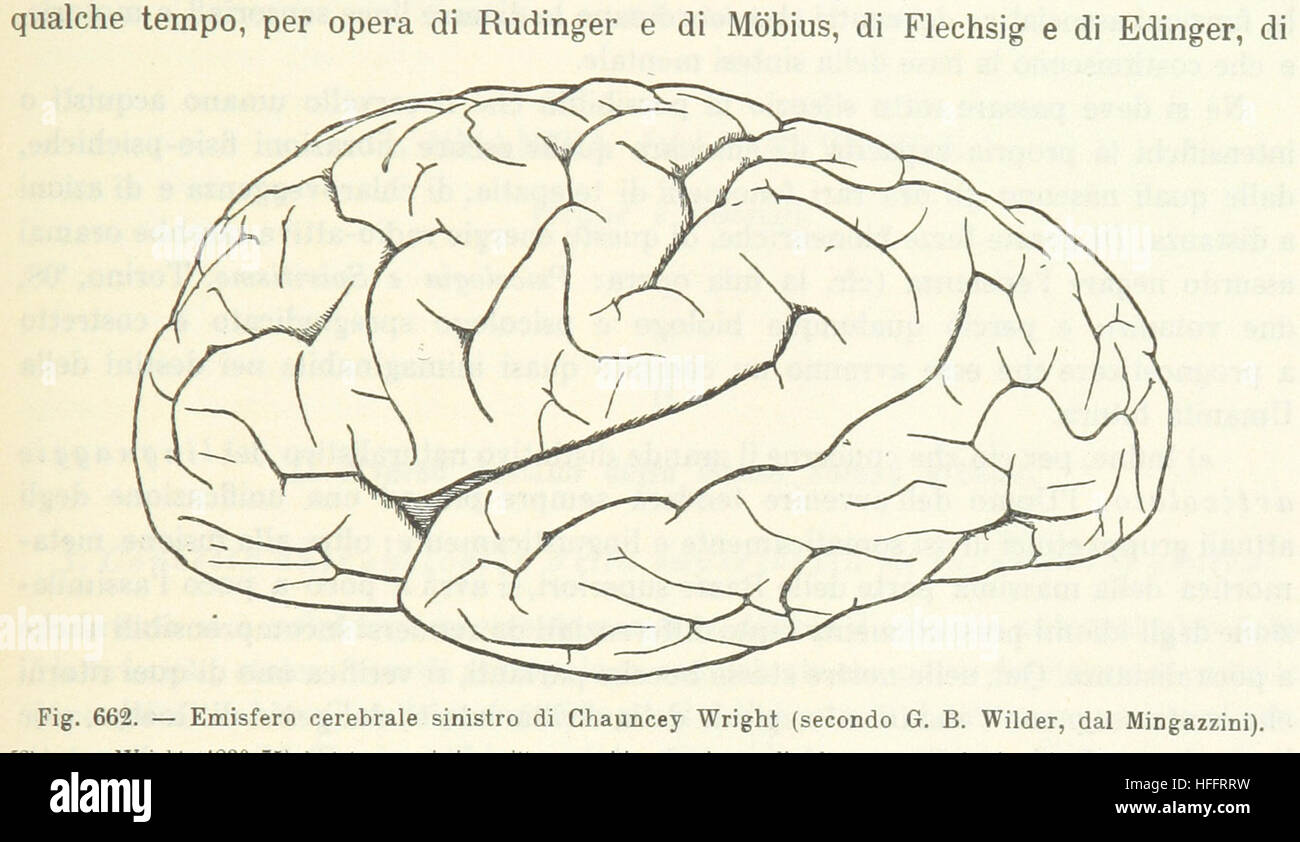 Bild entnommen Seite 1363 von ' Antropologia Generale. Lezioni Su l ' Uomo Secondo la Teoria dell'evoluzione... Raccolte e Pubblicate... da G. Raverdino e G. B. Vigo "Bild entnommen Seite 1363 von ' Antropologia Generale Lezioni Su Stockfoto