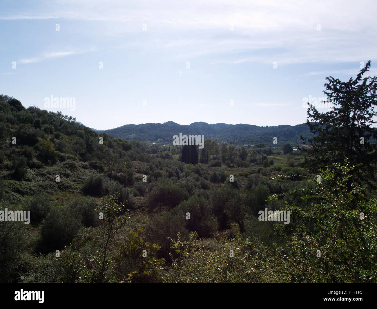 Blick vom Olivenhain in der Nähe von Karousades, Korfu, Griechenland mit Blick auf Tal in Richtung Gousades Stockfoto