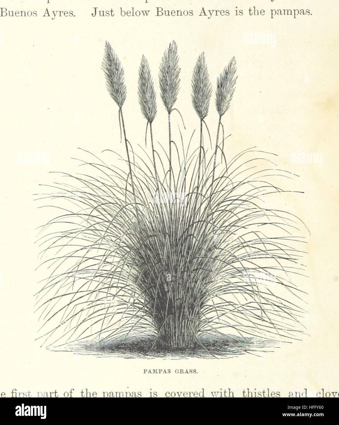 Diese Arbeit erforscht die Welt durch eine einheimische Linse und bietet Einblicke in verschiedene Länder und Kulturen in einem häuslichen Kontext. Stockfoto