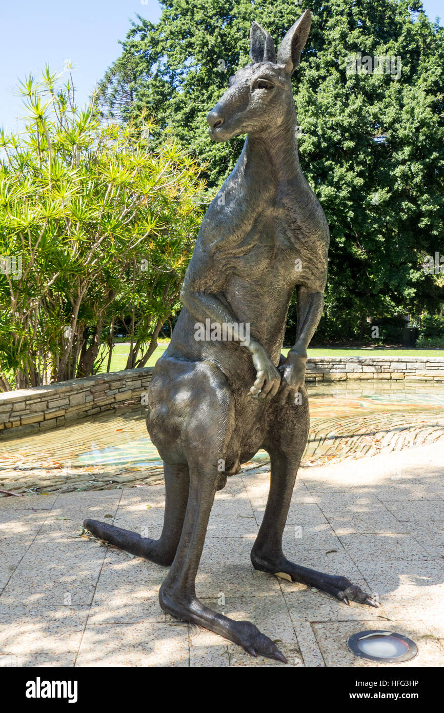 Eine Bronze-Skulptur eines Kängurus in der CBD von Perth, Westaustralien. Stockfoto