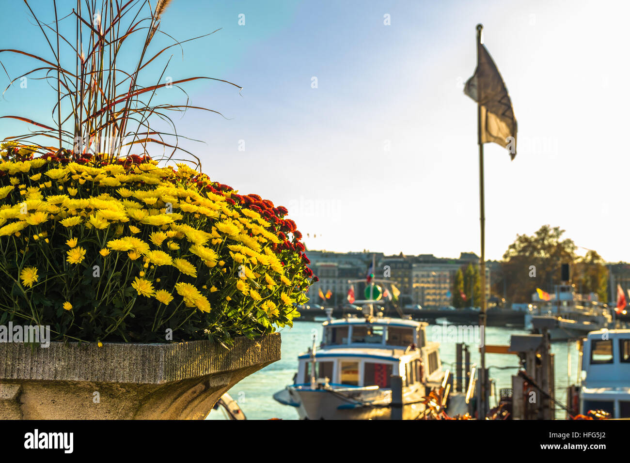 Eine schöne Blumenvase in Genfer See Stockfoto