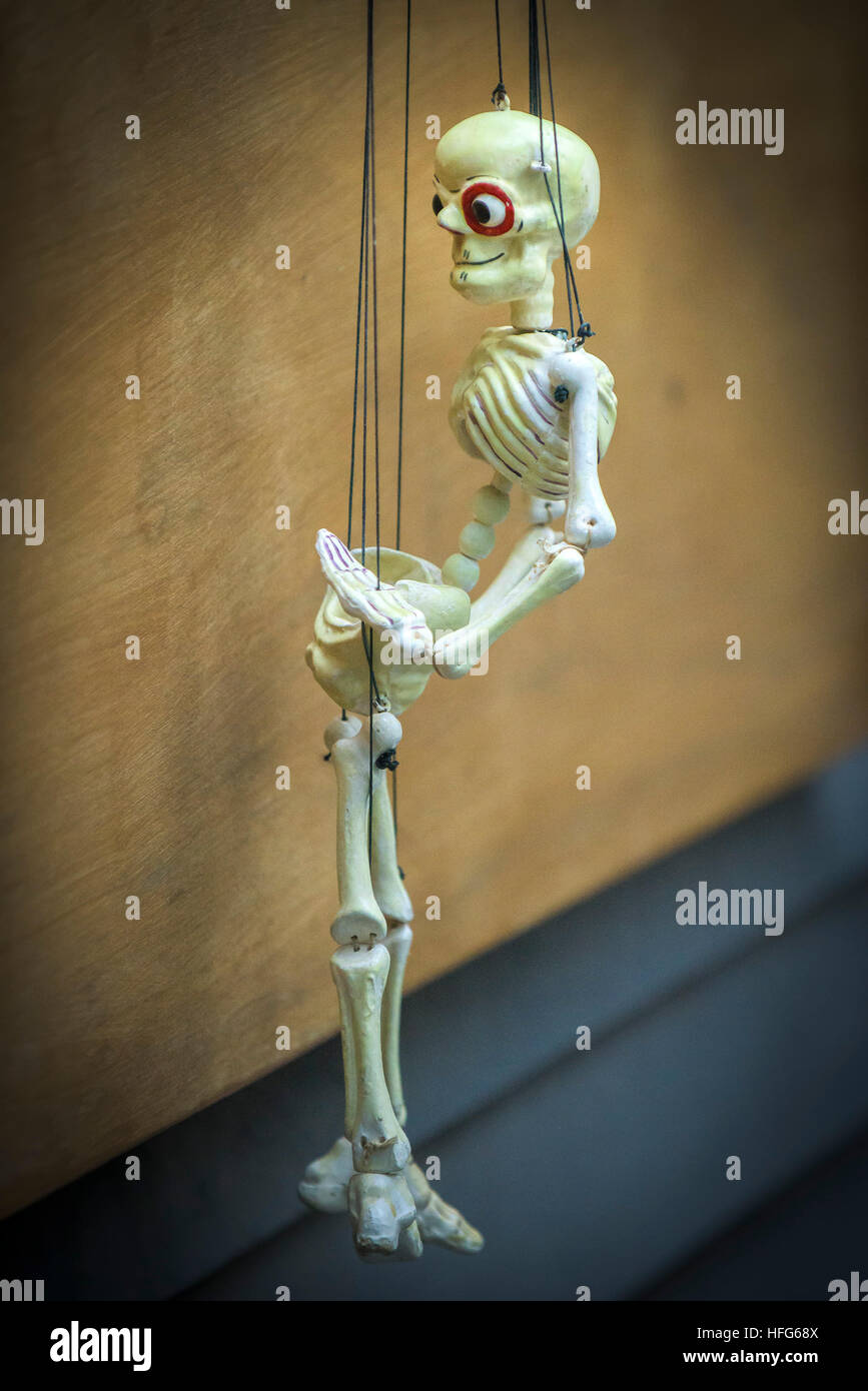 Ein Skelett Marionette. Stockfoto