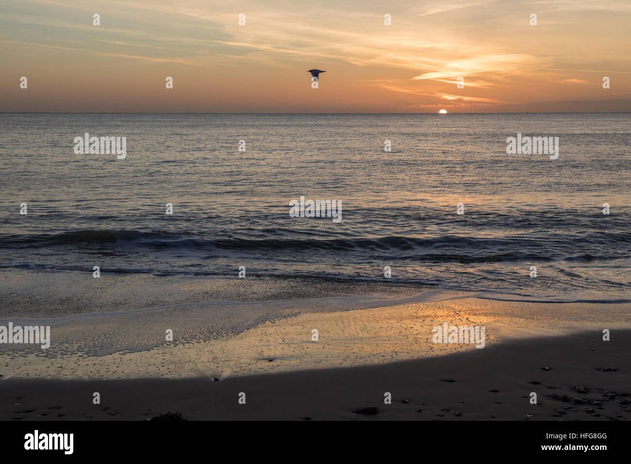 Sonne, spähen über Horizont bei Sonnenaufgang in der Bucht mit Vogel Stockfoto