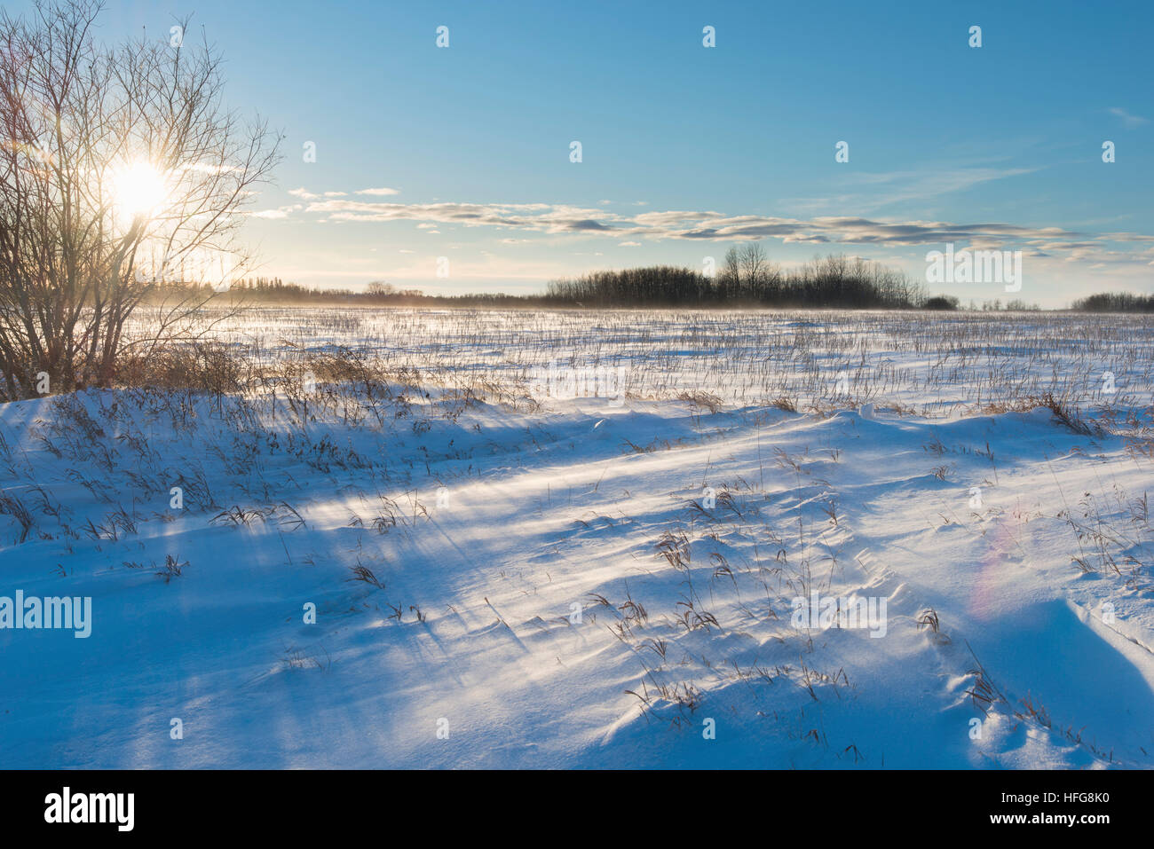 Kalter Tag Stockfoto