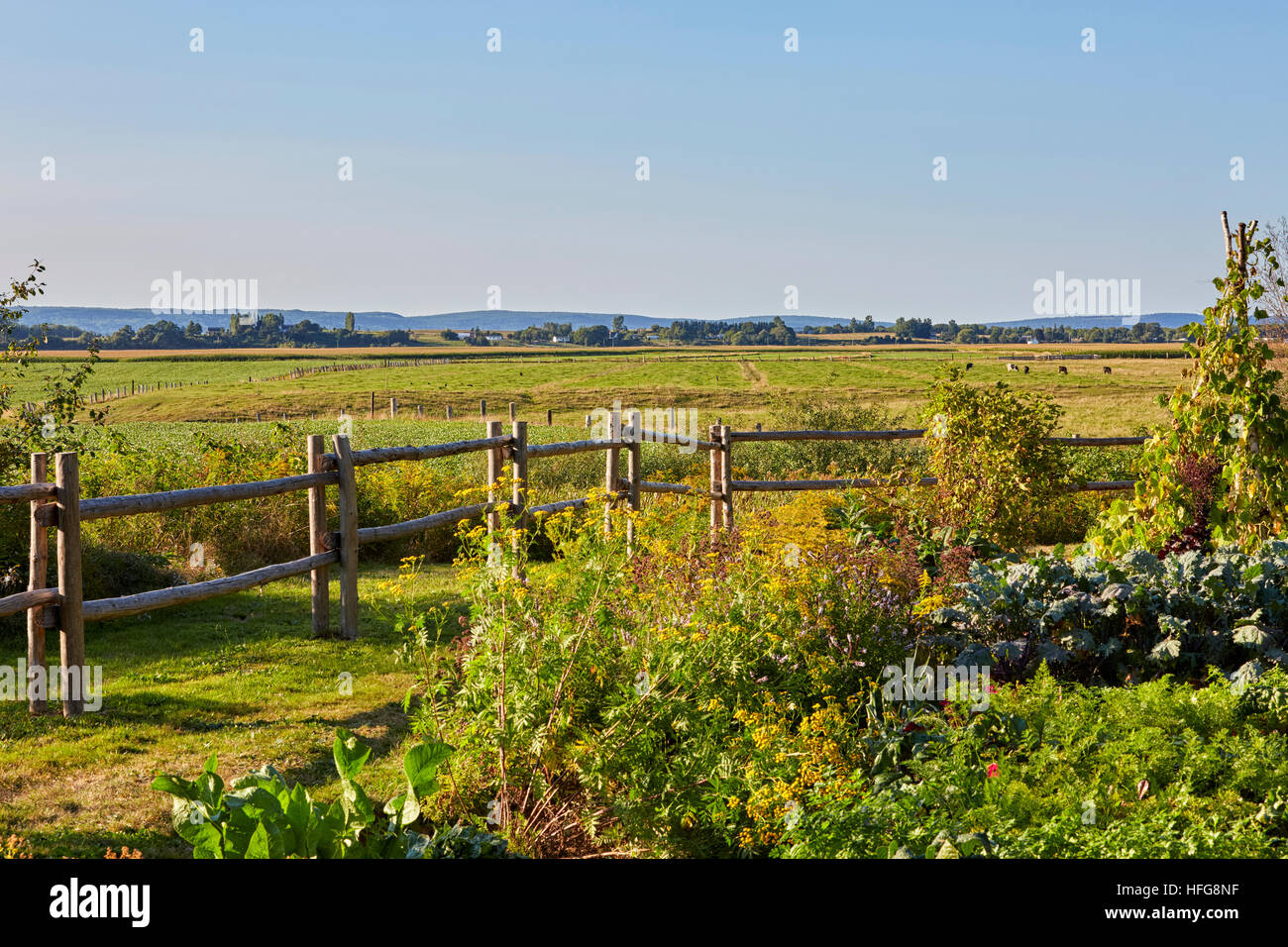 Dykeland, Grand Pre, Annapolis Valley, Novia Scotia, Kanada Stockfoto