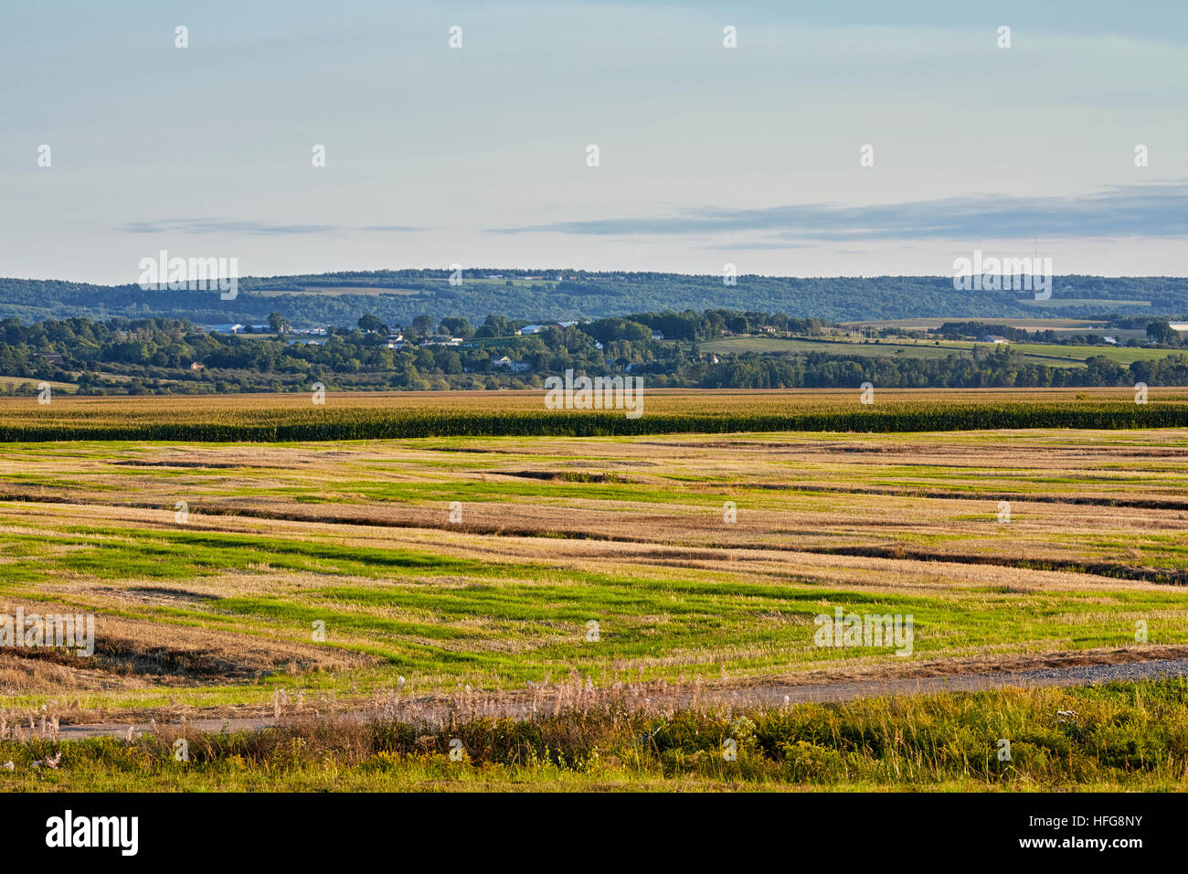 Dykeland, Grand Pre, Annapolis Valley, Novia Scotia, Kanada Stockfoto