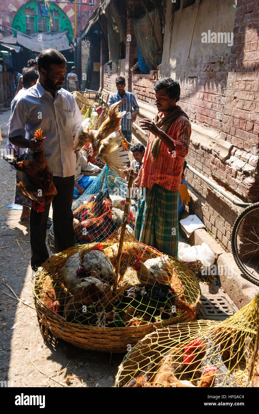 Kolkata (Calcutta, Kalkutta): Chicken Shop auf dem Markt Hogg, West-Bengalen, Westbengalen, Indien Stockfoto