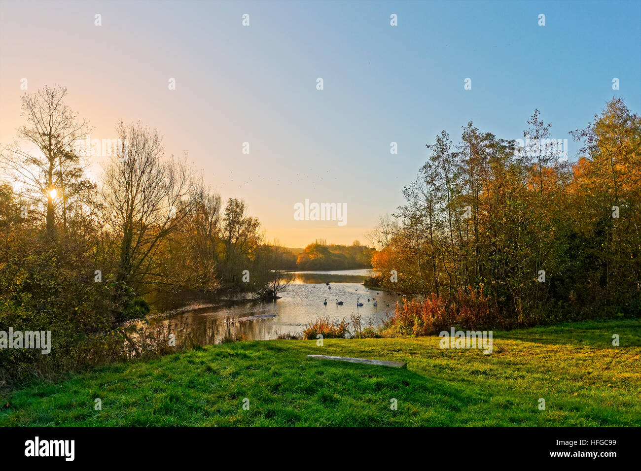 An einem kalten herbstlichen Morgen glänzt die aufgehende Sonne durch die Wipfel der Bäume, was auf dem Wasser und Schattenwurf in einen See und seine Ufer Stockfoto