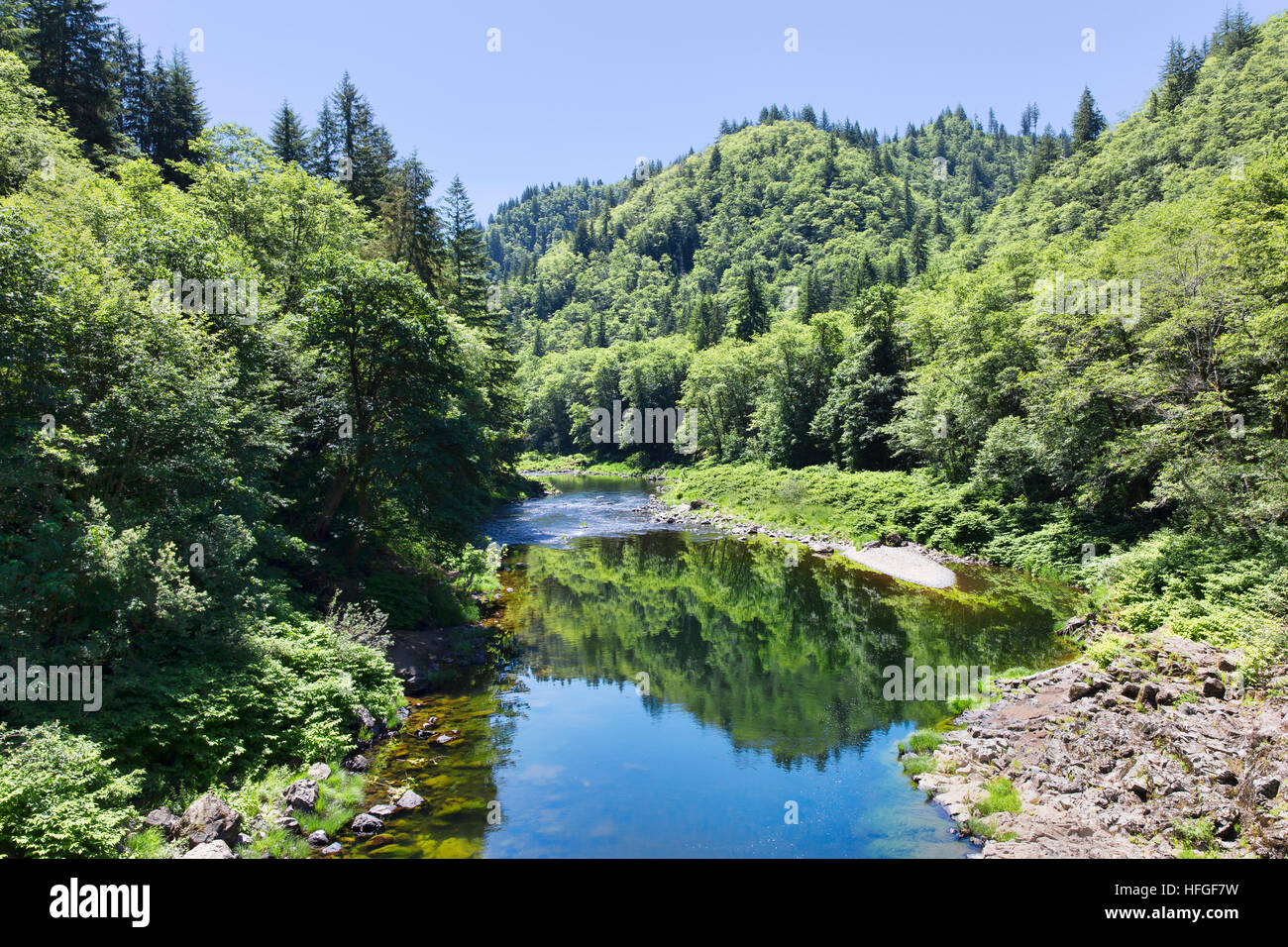 Die Nehalem River unterhalb Nehalem Fälle, entwässert die Oregon Coast Range an der nordwestlichen Küste von Oregon State, Kündigung im Pazifischen Ozean Stockfoto