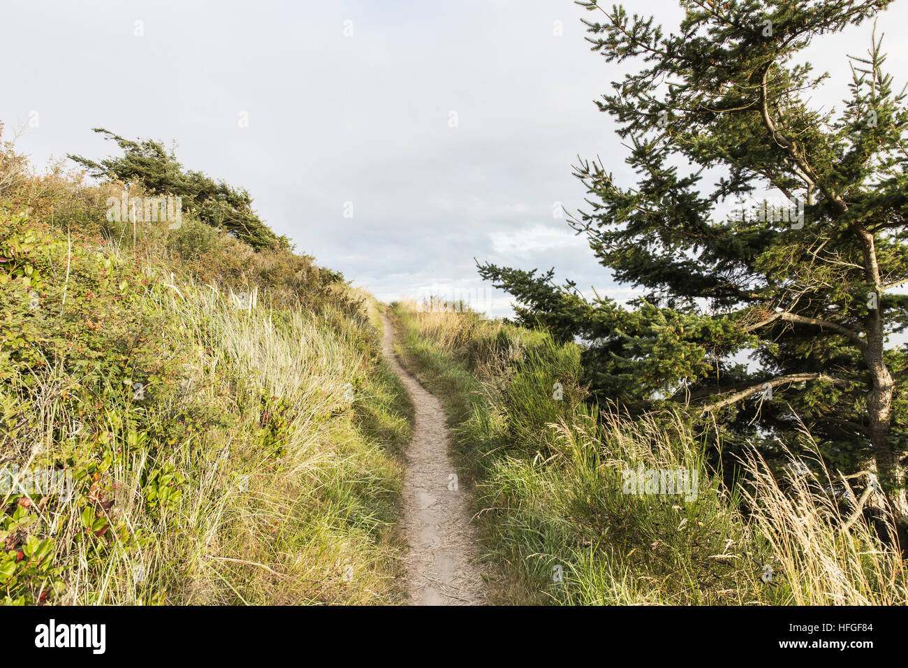 Bluff Trail über Strait of Juan de Fuca.   Fort Ebey State Park.  Whidbey Island, WA. Stockfoto