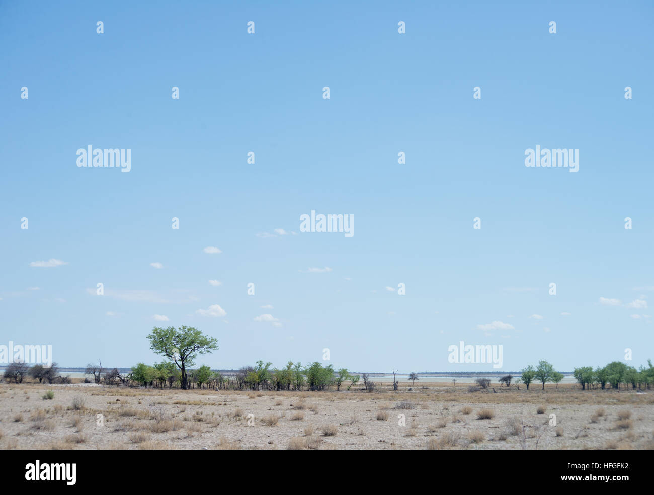 Etosha Park in Namibia Stockfoto