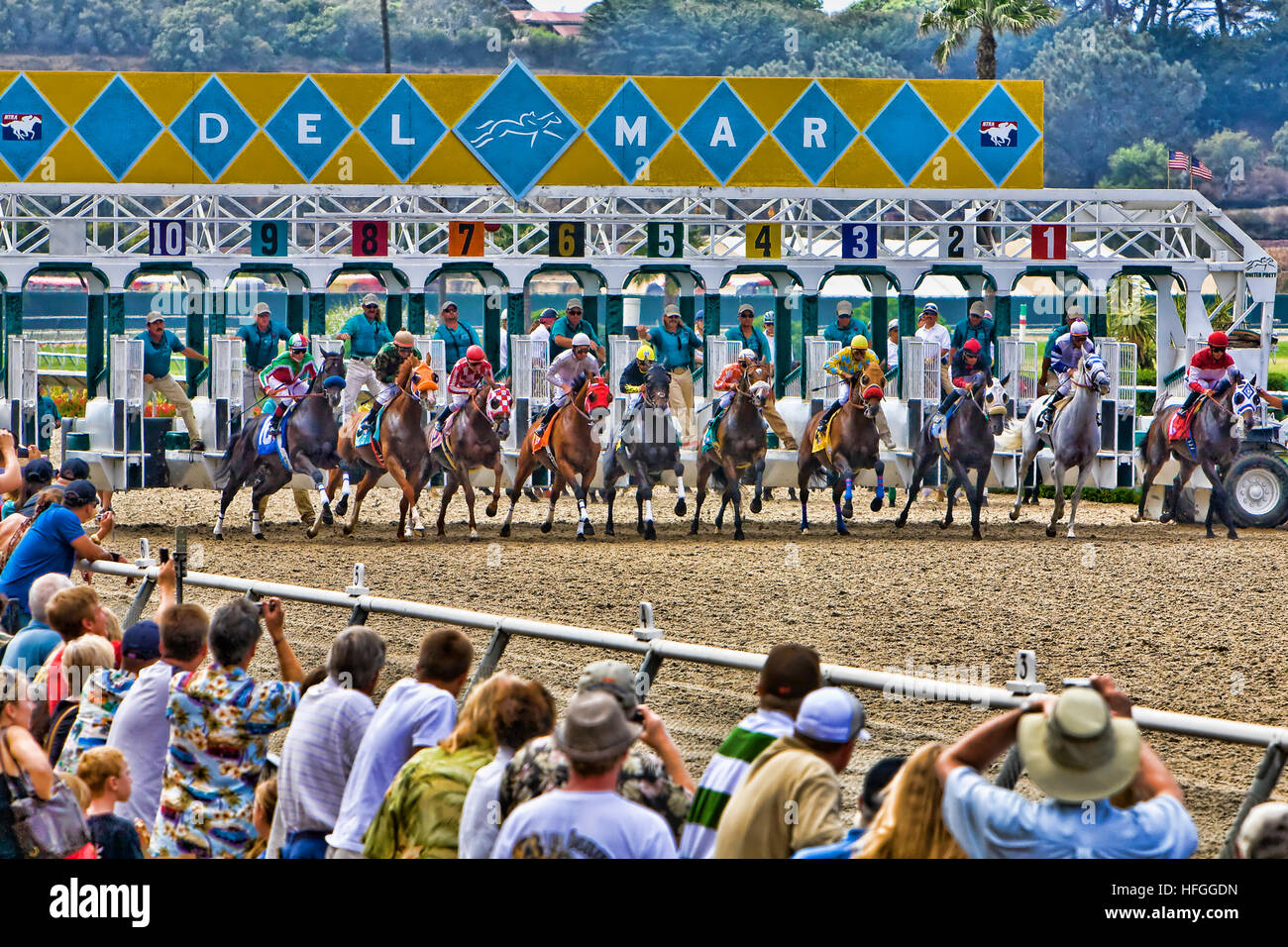 Pferde lassen den Startlöchern zu Beginn des Rennens. Stockfoto