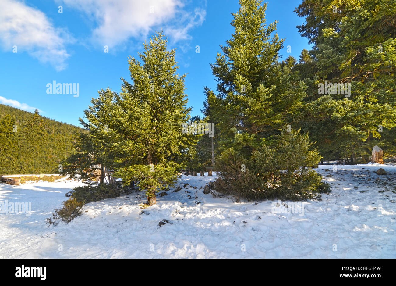 verschneiten Oeta in Zentralgriechenland Stockfoto