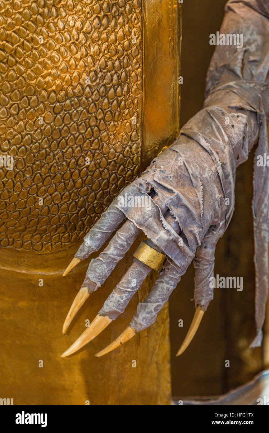 Horror Film Mama, Detail von Hand mit gebogenen Fingern mit langen Krallen Stockfoto