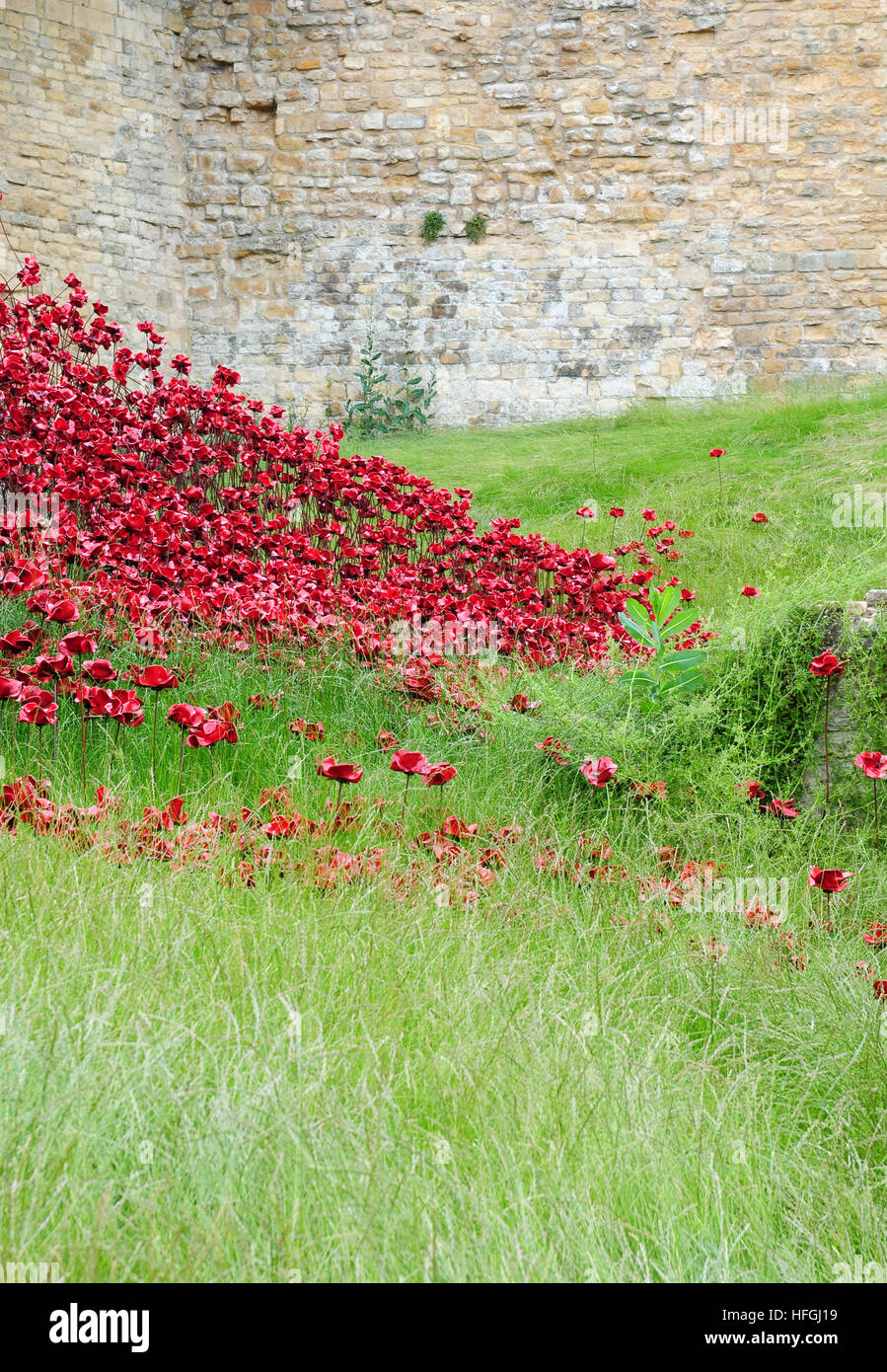 Bestandteil der Mohn Wave-Installation im Lincoln Castle.  Künstler Paul Cummins.  Designer Tom Piper. Stockfoto