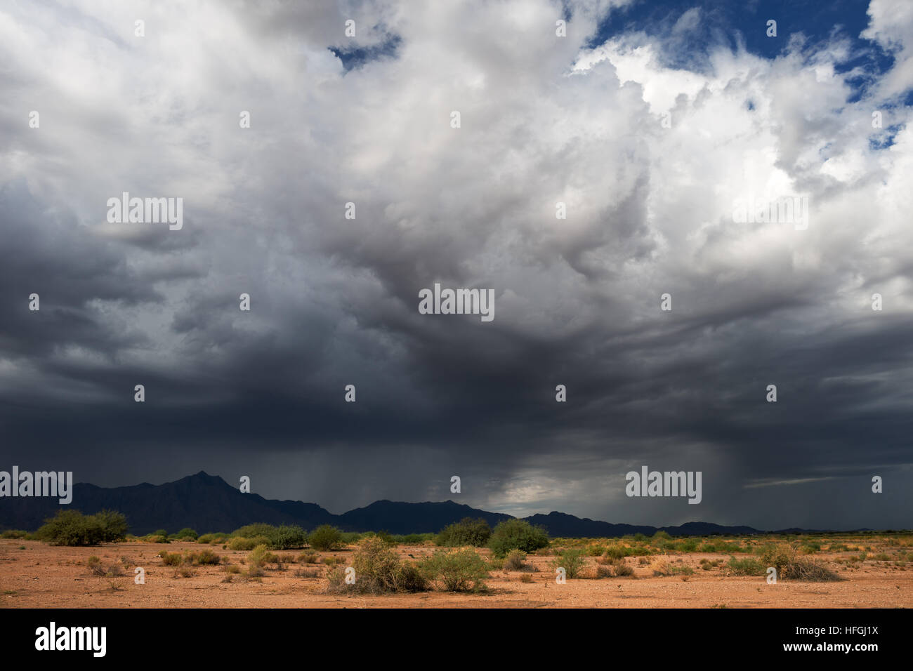 Dramatische Sturmwolken über den Sierra Estrella Bergen in der Wüste von Arizona Stockfoto