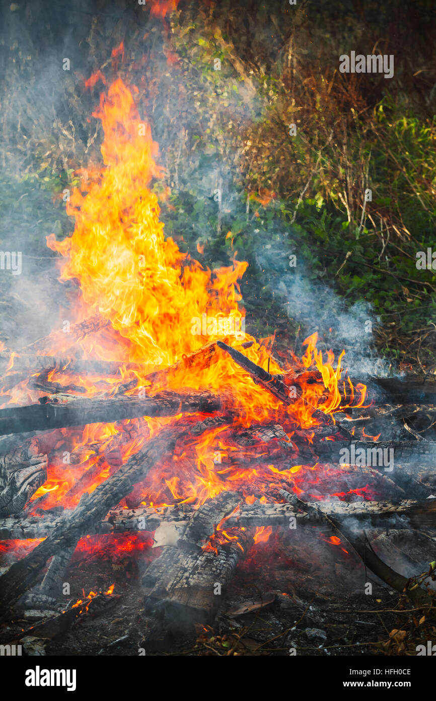 Closeup vertikale Foto von Brennholz in großen Feuer brennen Stockfoto