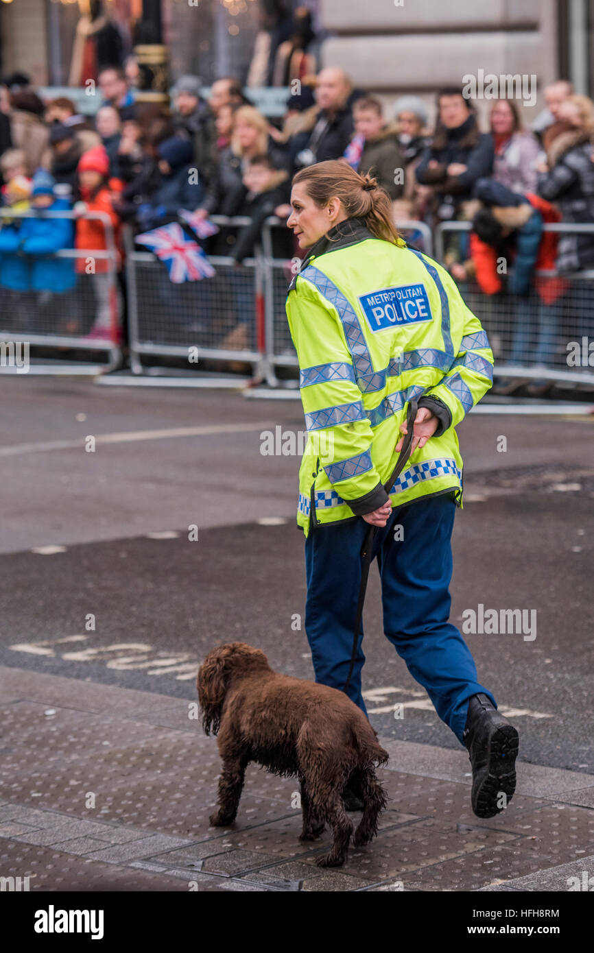 London, UK. 1. Januar 2017.  Sicherheit war unauffällig mit Spürhunden auf Patrouille und Seite Straßen blockiert durch Polizeiwagen - The New Years Day-Parade verläuft durch zentrale Form in London Piccadilly nach Whitehall. 1. Januar 2017 London © Guy Bell/Alamy Live-Nachrichten Stockfoto