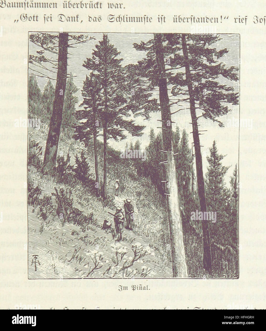 Dieses Bild von Seite 163 der Streifzüge in den Urwäldern von Mexiko und Zentralamerika zeigt die tropischen Wälder Mexikos und Mittelamerikas und dokumentiert Flora, Fauna und indigene Kulturen mit detaillierten Abbildungen. Stockfoto