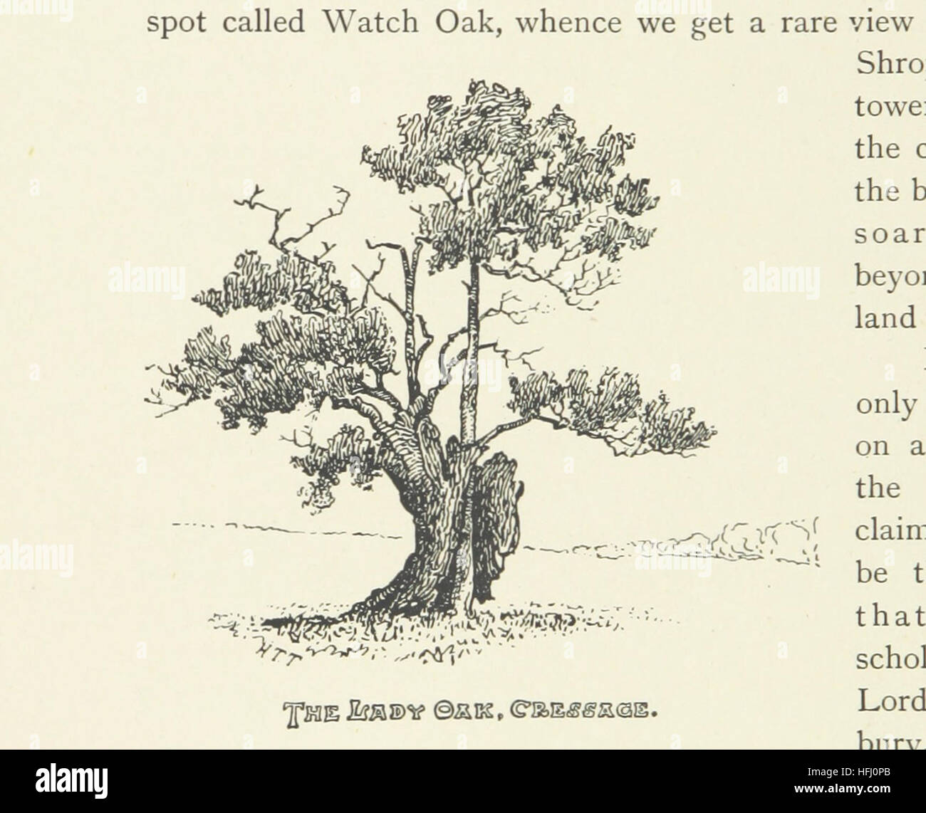 Abbildung Seite 194 entnommen "Ecken und Winkel von Shropshire... Mit Karte und... Illustrationen vom Autor "Bild entnommen Seite 194 von" Ecken und Winkel des Stockfoto