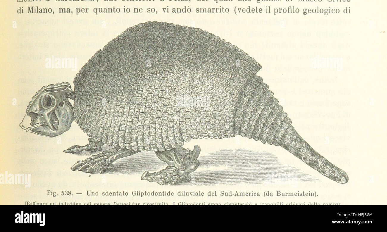 Bild entnommen Seite 1075 von ' Antropologia Generale. Lezioni Su l ' Uomo Secondo la Teoria dell'evoluzione... Raccolte e Pubblicate... da G. Raverdino e G. B. Vigo "Bild entnommen Seite 1075 von ' Antropologia Generale Lezioni Su Stockfoto