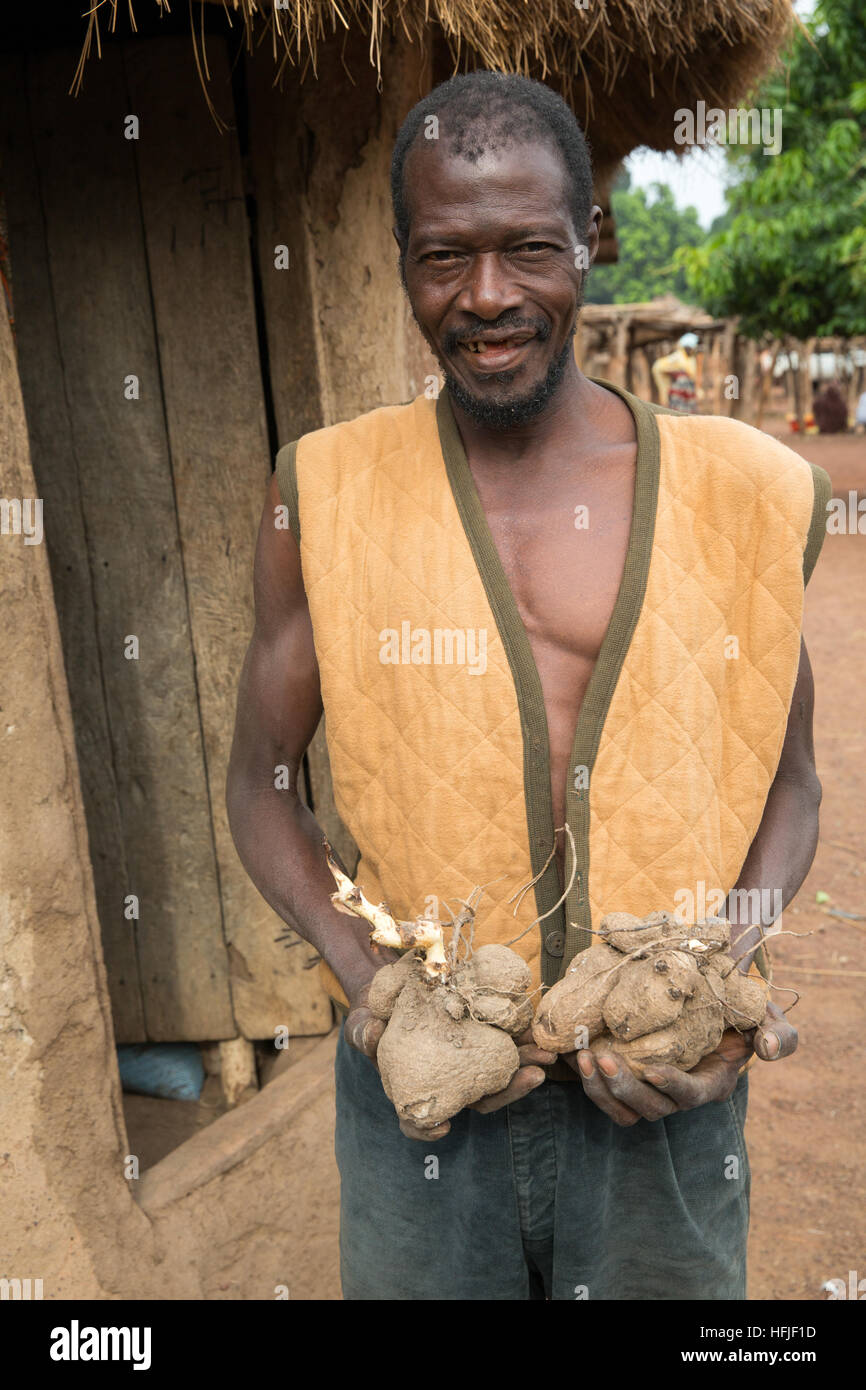 Koumban, Guinea, 2. Mai 2015; Dieses Gebiet liegt über dem geplanten Niveau des Fomi-Staudamms und wird Vertriebene einziehen. Ein Bauer mit Cassava tubas. Stockfoto