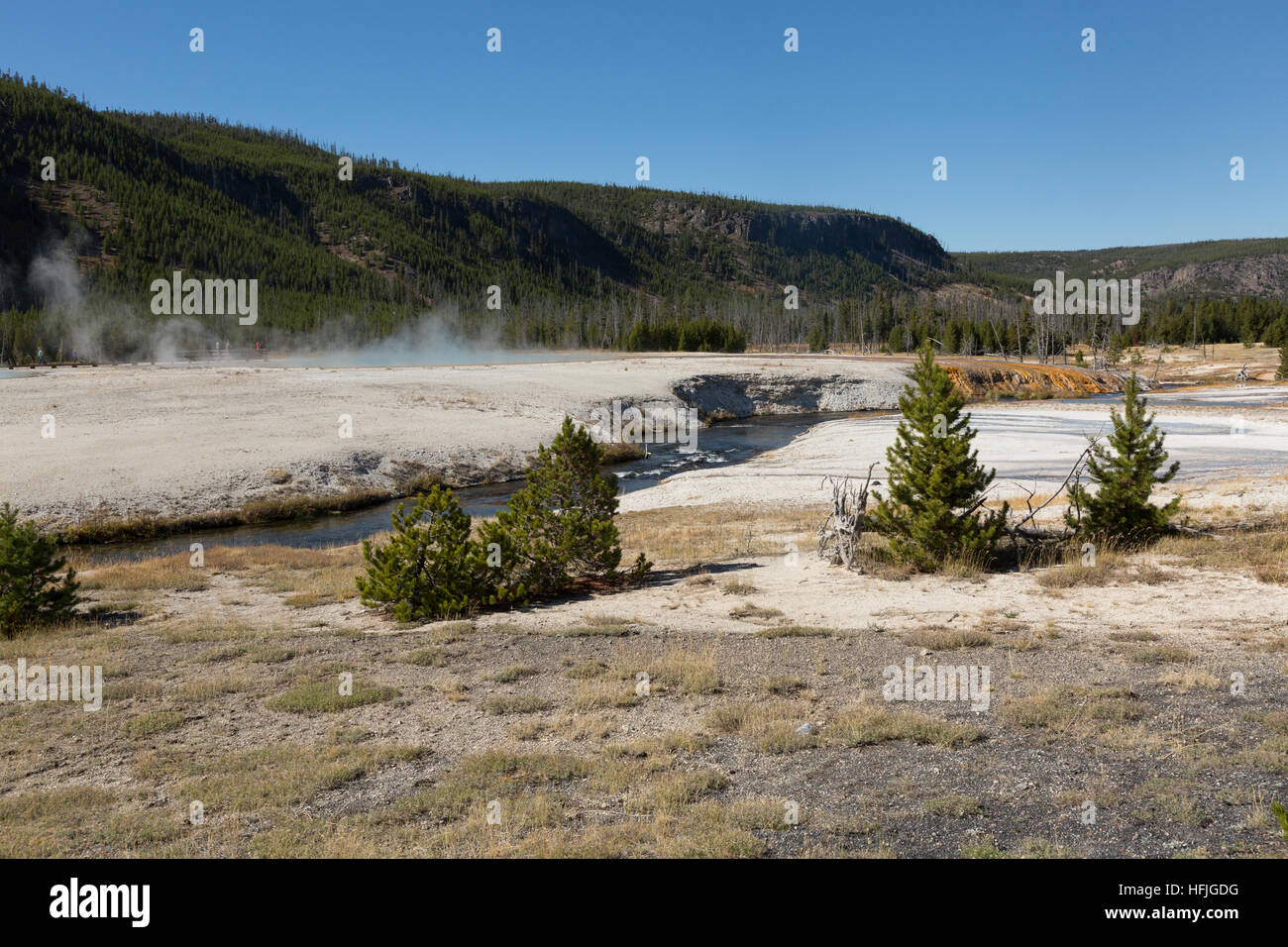 Ionen-Creek Black Sands Becken Stockfoto