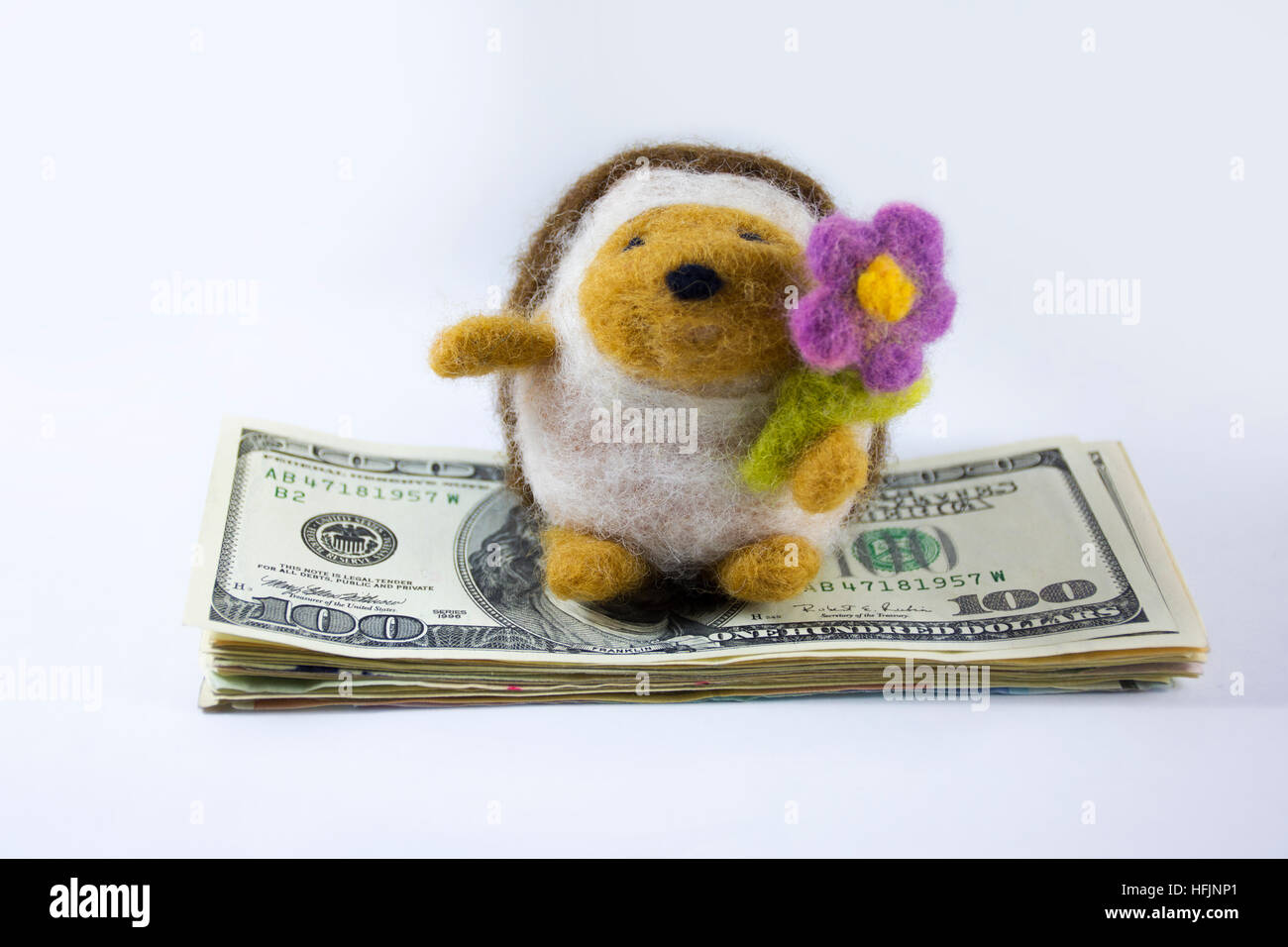 Geld verdienen mit Ihrem Hobby, einen süßen Igel Standa auf einen Vorrat an US-Dollar Stockfoto